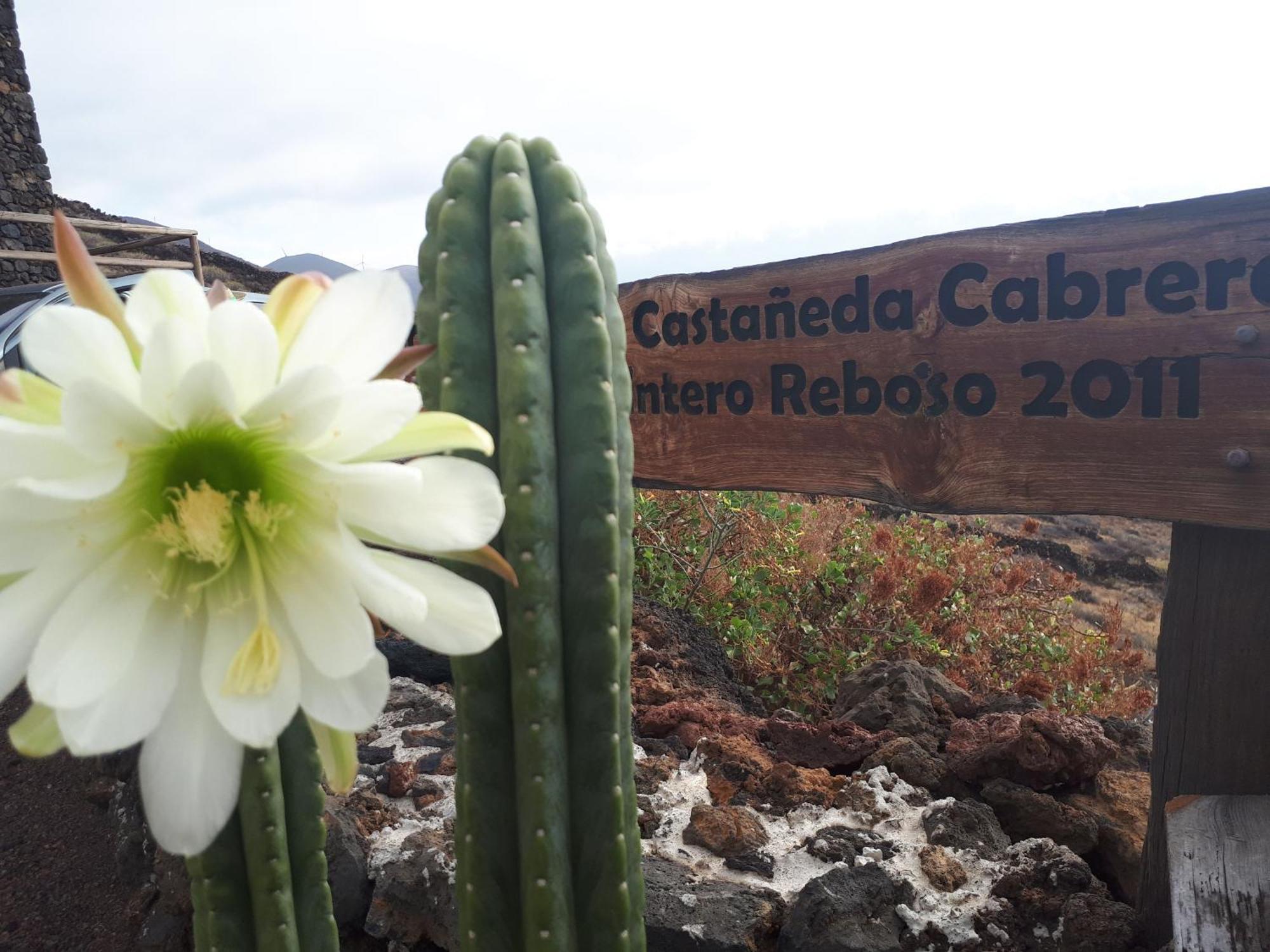 Pajero Las Cadenas Valverde  Buitenkant foto